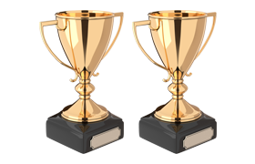 最優秀領袖大獎