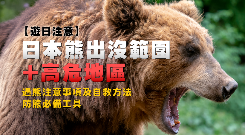 【遊日注意】日本熊出沒範圍+高危地區｜防熊必備工具、遇熊注意事項及自救方法